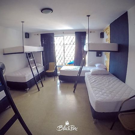 Blackpine Hostel Medellín Kültér fotó