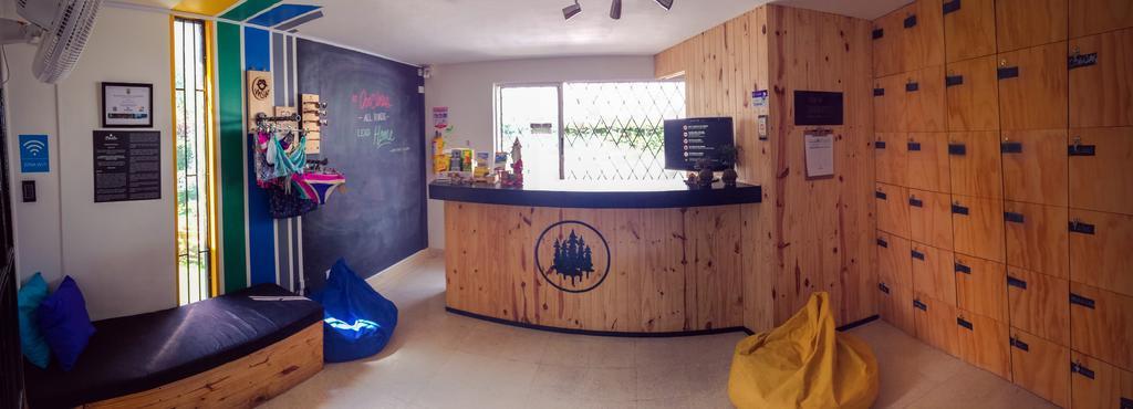 Blackpine Hostel Medellín Kültér fotó
