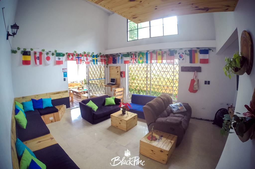 Blackpine Hostel Medellín Kültér fotó