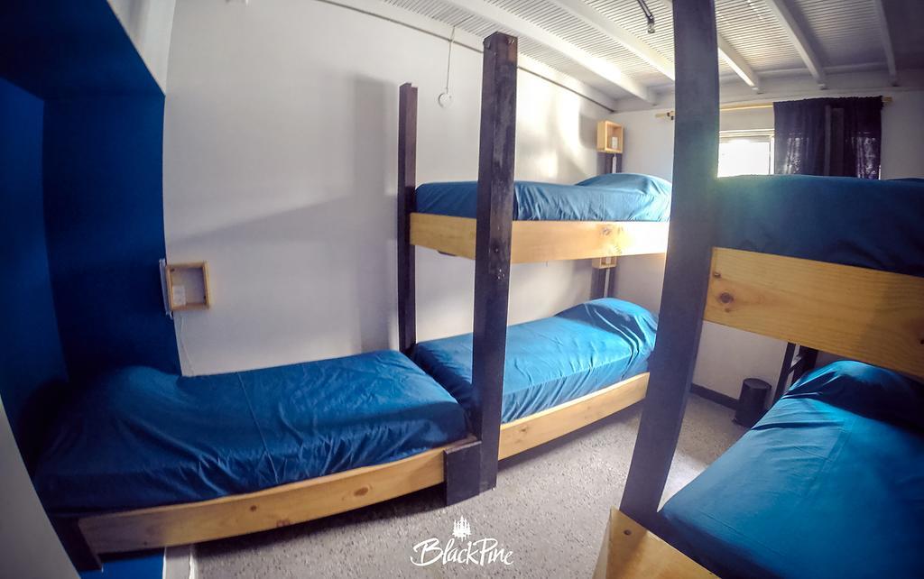Blackpine Hostel Medellín Kültér fotó
