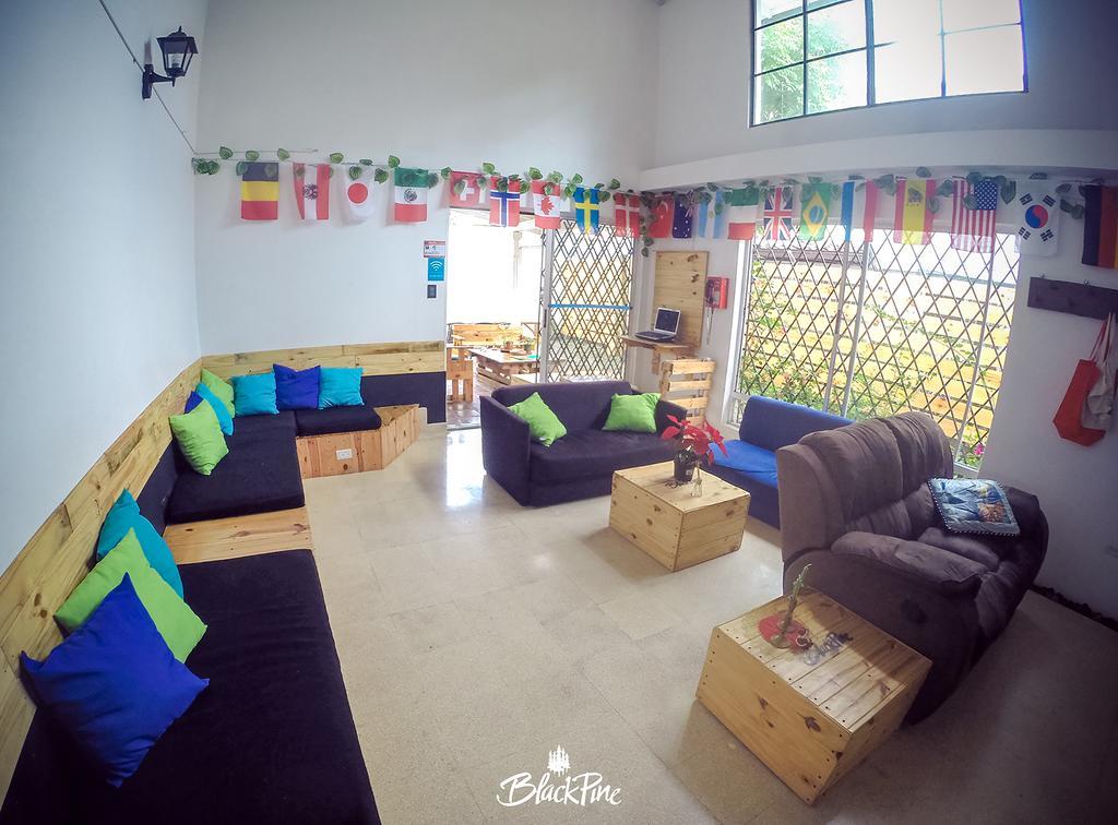 Blackpine Hostel Medellín Kültér fotó