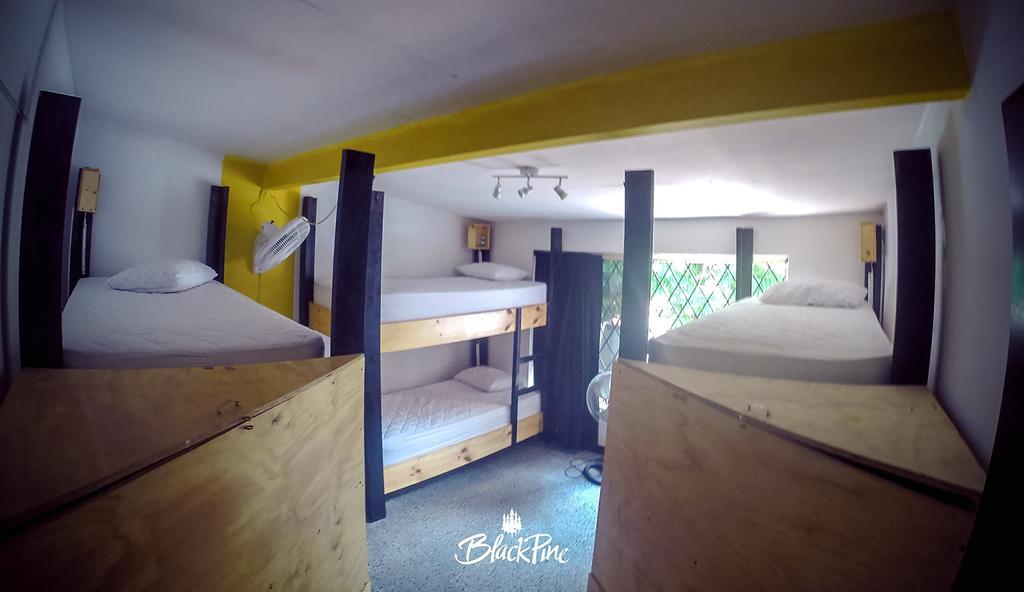 Blackpine Hostel Medellín Kültér fotó