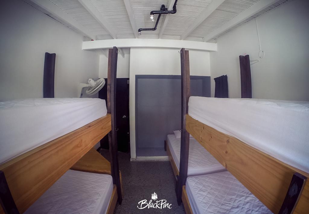 Blackpine Hostel Medellín Kültér fotó