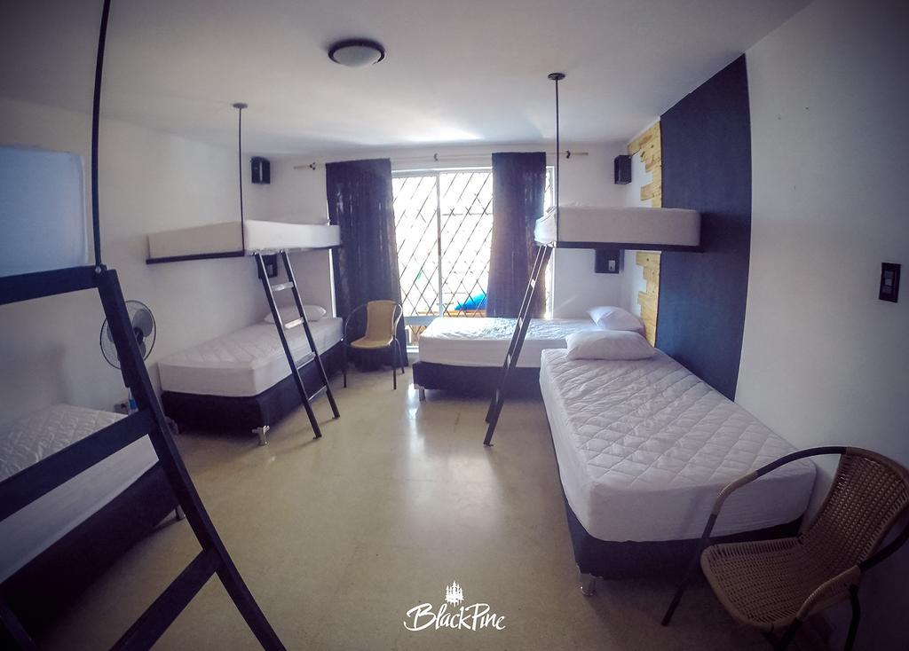 Blackpine Hostel Medellín Kültér fotó