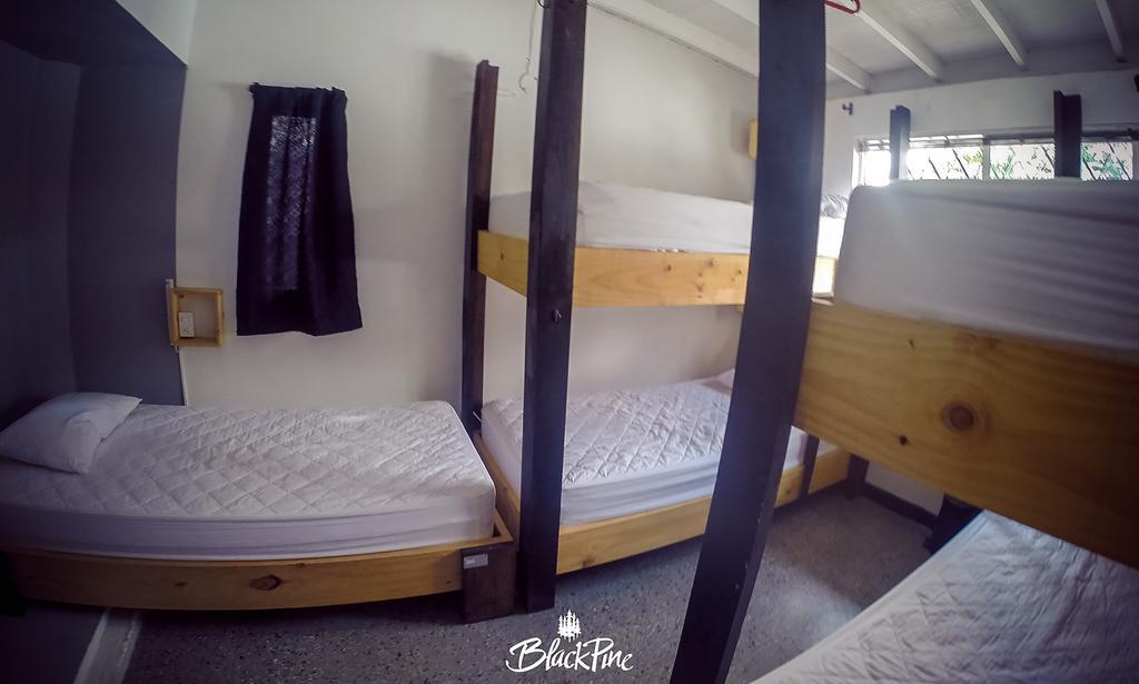 Blackpine Hostel Medellín Kültér fotó