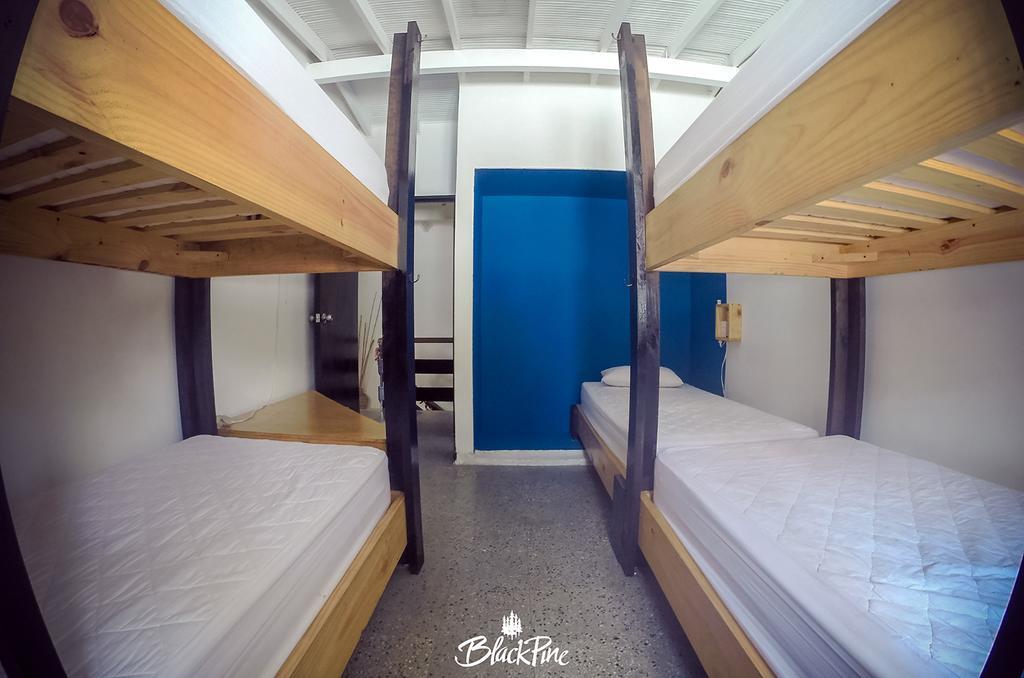 Blackpine Hostel Medellín Kültér fotó